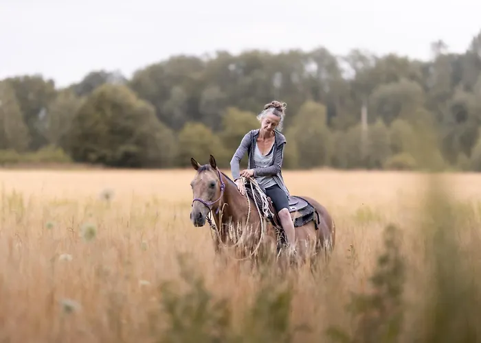 Ranczo Neverlandia بيت للعطل Lasowice (Milicz)