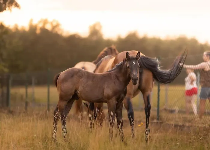 Ranczo Neverlandia بيت للعطل *